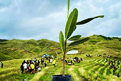 The corps members helped prep the land for 200 volunteers to plant trees in Malesso’.