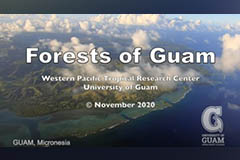 Filmed by Tim Rock, the video showcases the beauty of Guam's forests and the threats they face.