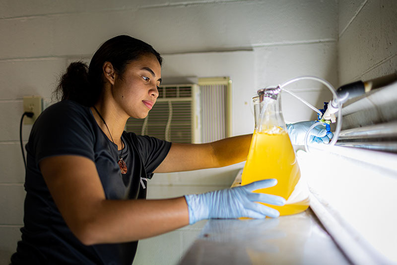 Kat Perez's internship helps to grow an emerging food source for the island: shrimp!