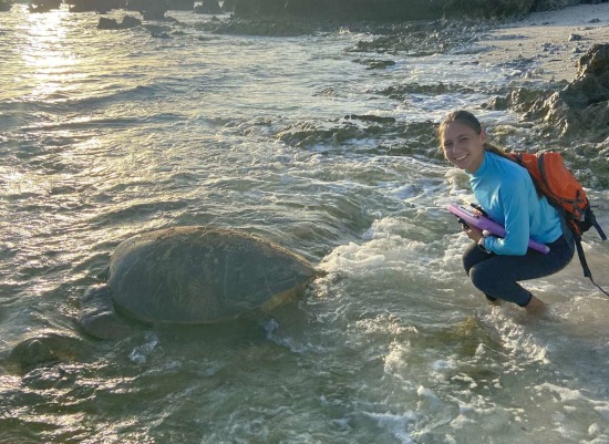 Biologists documented more than 200 nesting emergences in 2021, up from 100-150 in previous years.