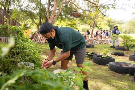 UOG’s 4-H program is providing public school teachers hands-on lessons in sustainable living.