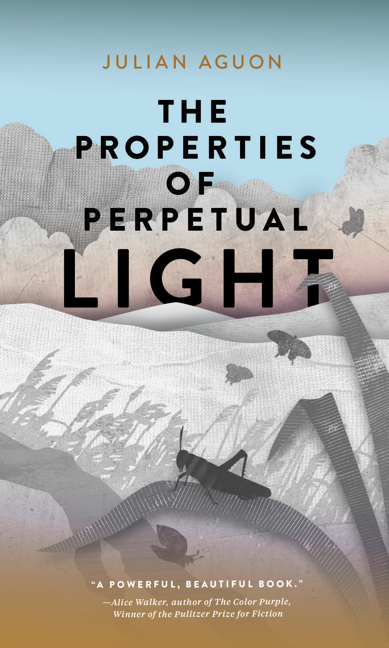 "The Properties of Perpetual Light" by Julian Aguon