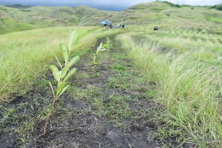 Professor Mohammad Golabi explains how the preservation of soil is key to long-term sustainability.