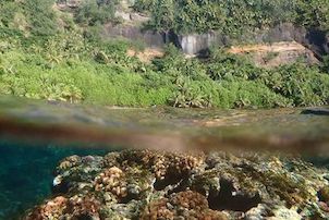 A team led by Associate Professor David Combosch is looking into if and how corals throughout the Marianas are connected.