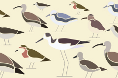 Graphic photo of birds