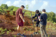 Volunteers hike to a planting site