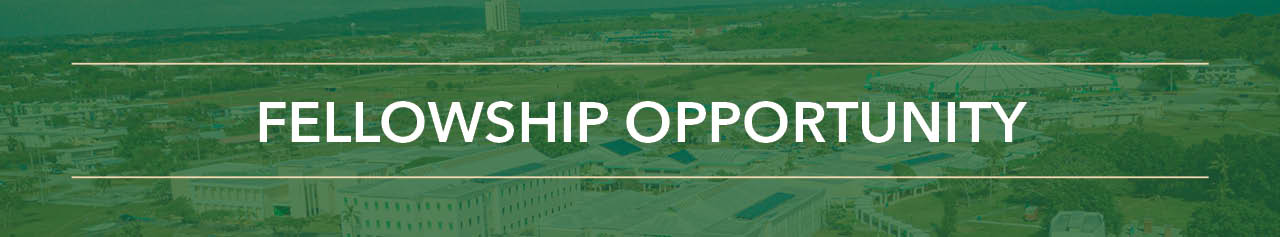 Graphic banner that says "Fellowship Opportunity"
