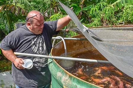UOG’s Fadian Hatchery: Nurturing an interest in backyard fish farming