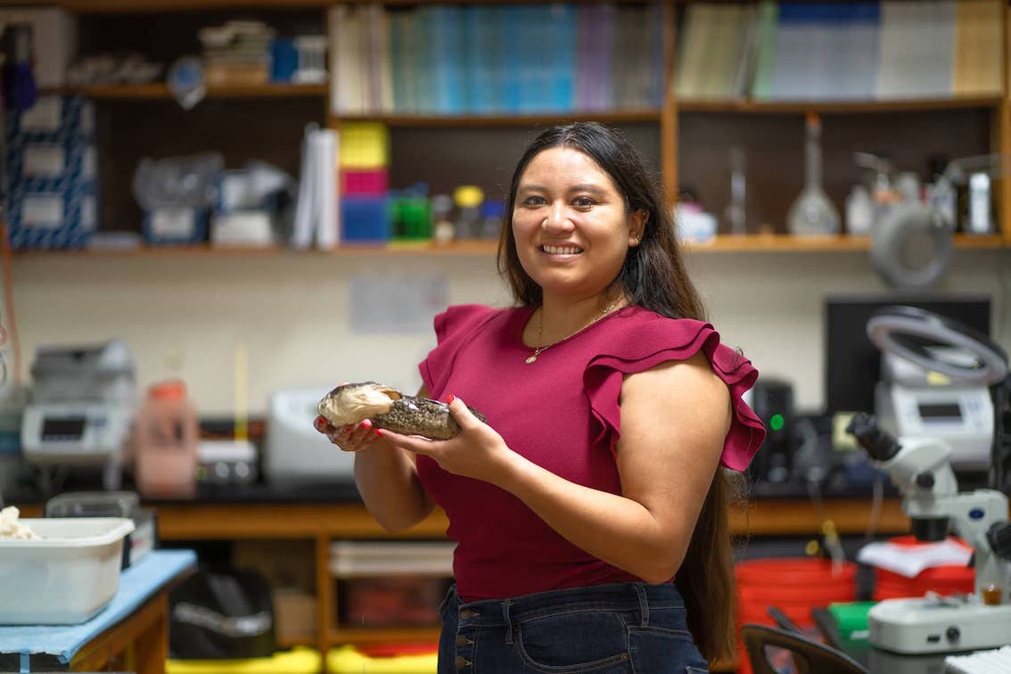A UOG graduate student's study seeks to find answers toward developing Guam river eel as a sustainable food source.
