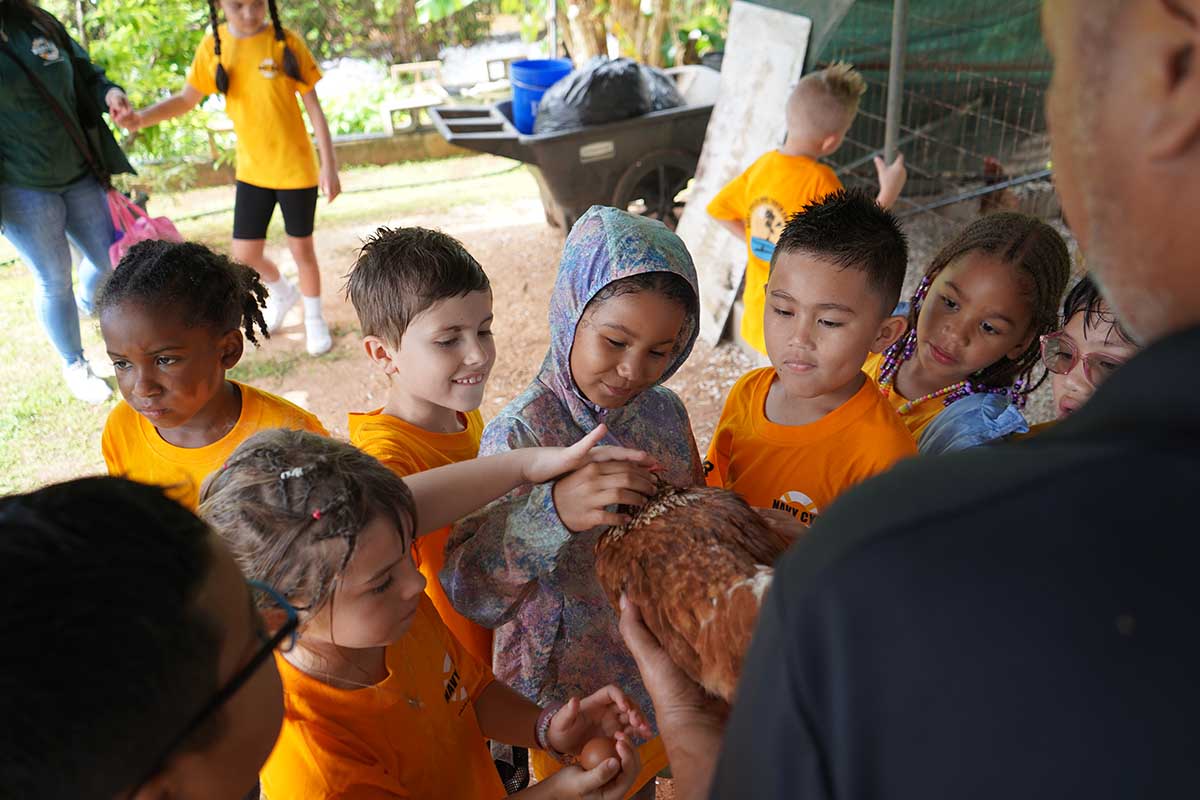 Photos of kids petting a chicken