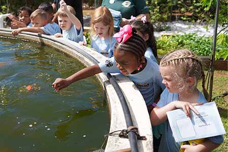 Youth from the military community learned about the island’s fruits, bugs, and agriculture.