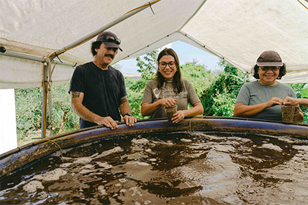 Three members of Guahan Sustainable Culture feeding fish for aquaculture