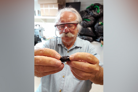 A team of scientists is testing the effect of a rhino beetle virus in Palau on Guam's beetles. 