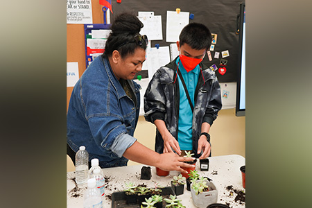 The Benefits & Basics of Indoor Planting pilot program seeks to reduce stress and improve wellness.