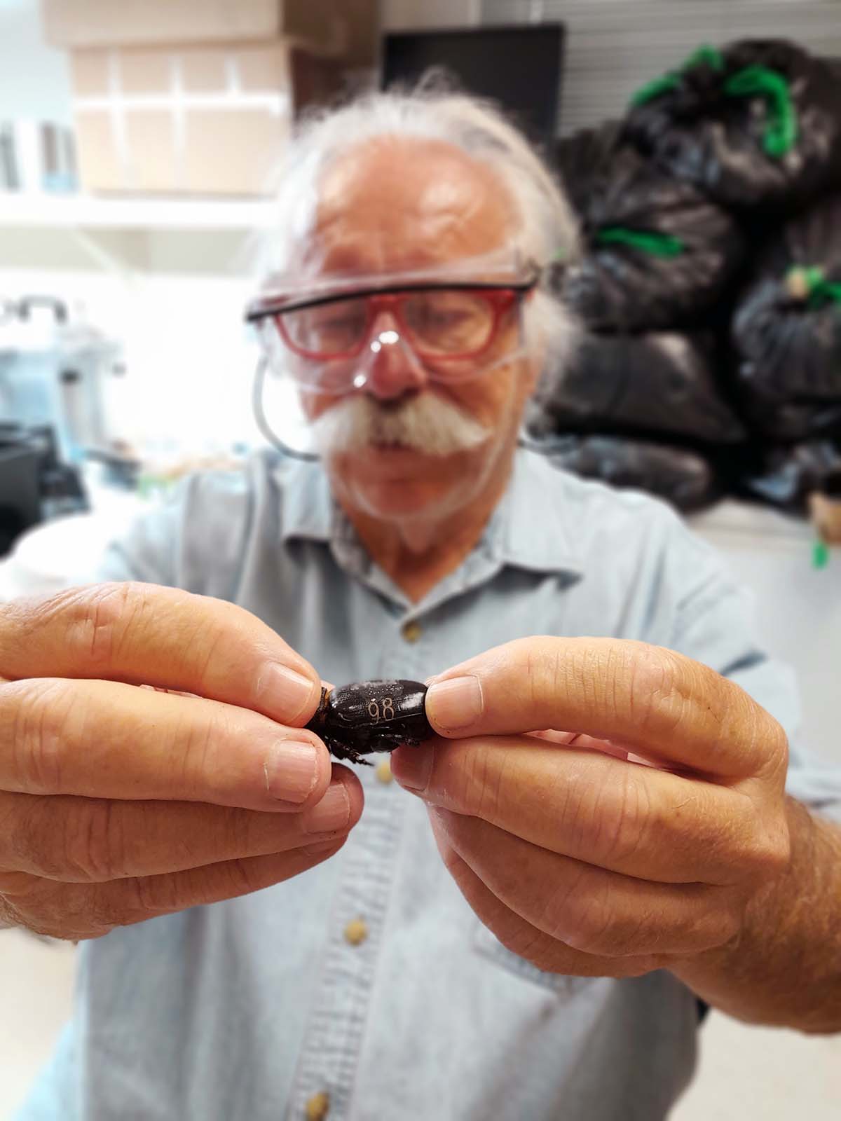 Photo of Dr. Aubrey Moore holding a laser-engraved rhino beetle
