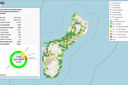 An online map shows coconut rhinoceros beetle damage to coconuts palms 