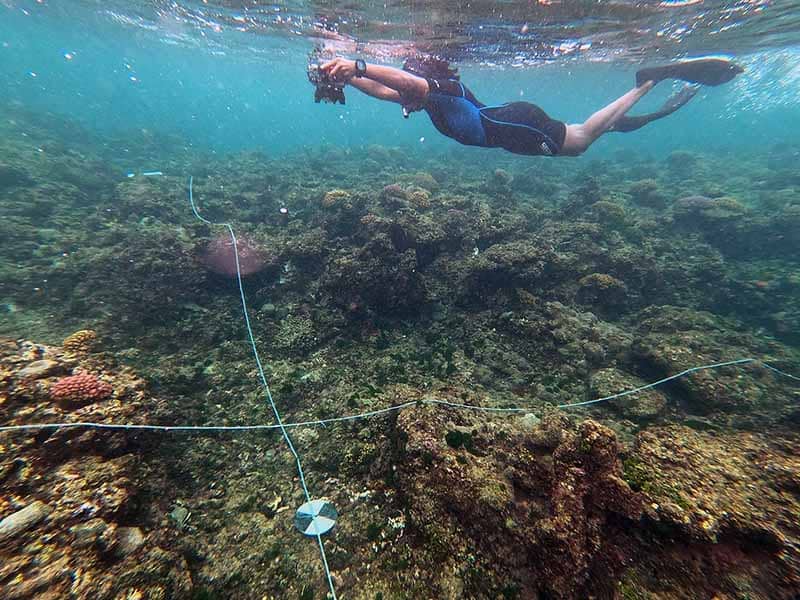 A diver documents sea life