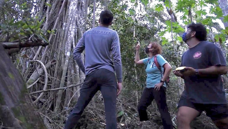 UOG CIS and Sea Grant members observe one of Guam’s natural habitats for local wildlife