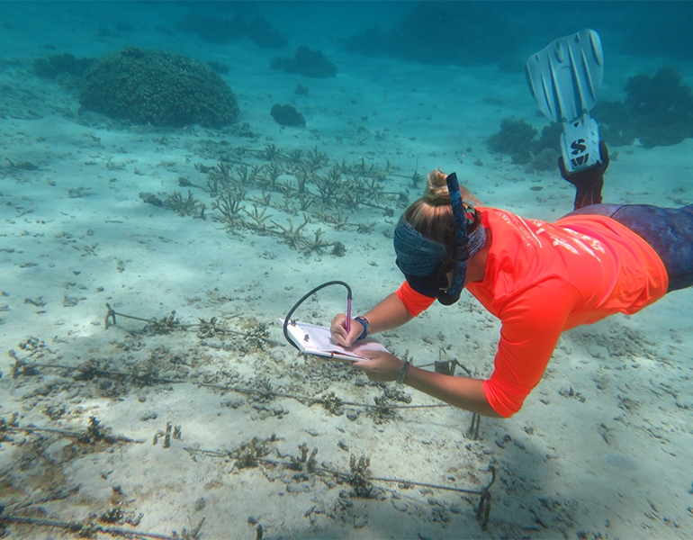 D’amy Steward does research underwater