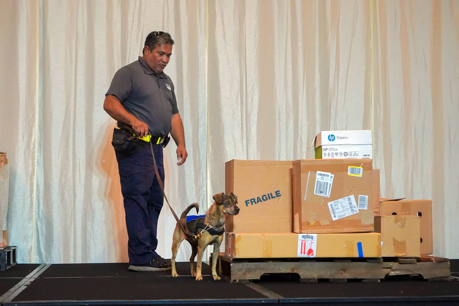 Photo of the detector dog demonstration
