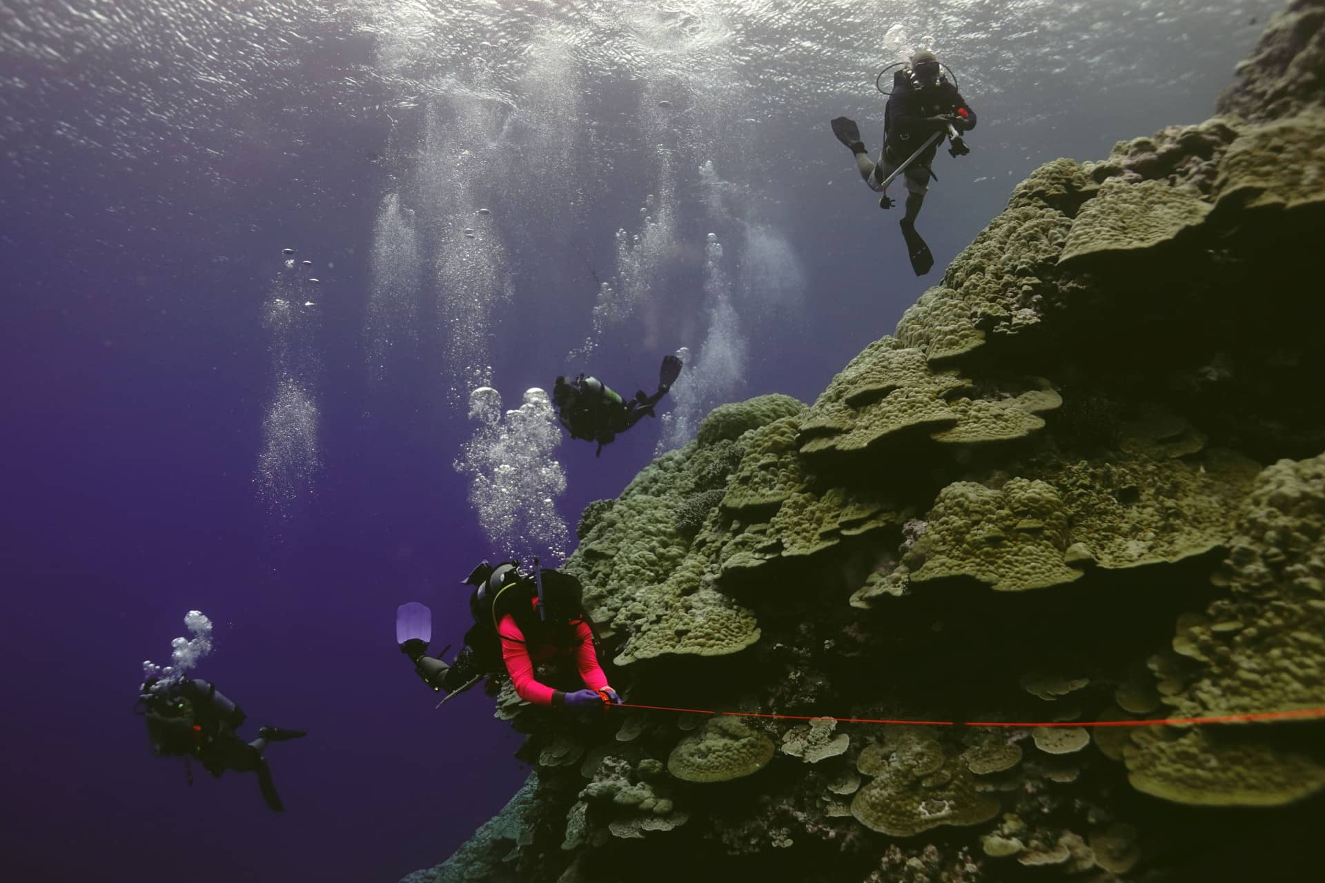 Alik William, Trenton Skilling, Bersin Elias, and Bond Segal, core members of the Micronesia Coral Reef Monitoring team