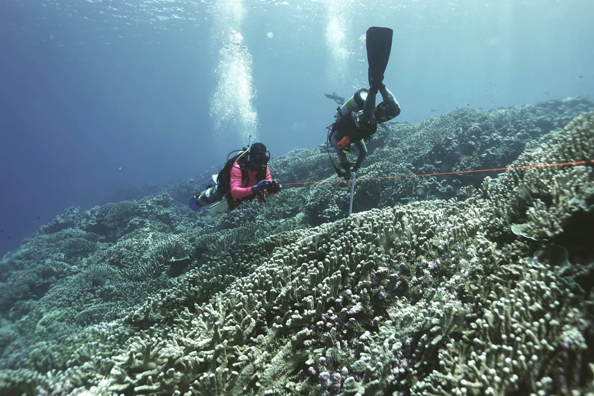 Divers with an expedition team into remote atolls in the Federated States of Micronesia