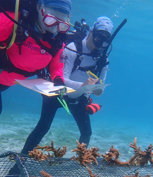 Underwater photo of two trainees at UOG Marine Lab workshop