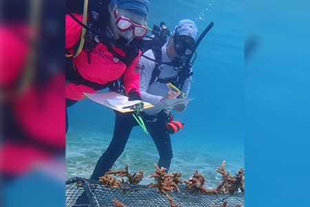 Underwater photo of two trainees at UOG Marine Lab workshop