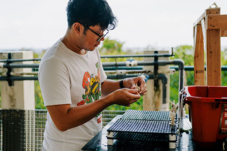 Research Assistant Nikko Galanto