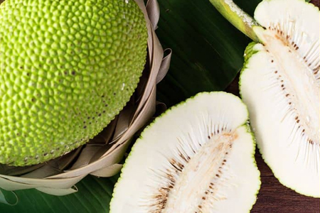 Bread fruit as baking flour flyer