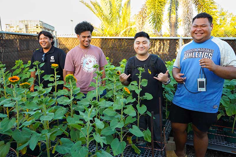 Four students stand behind tall sunflowers in a nursery