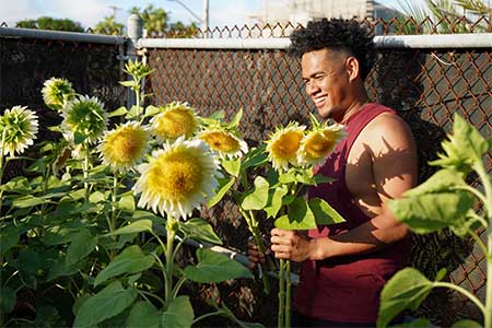 University of Guam ag students grew market-ready sunflowers with surprising results.
