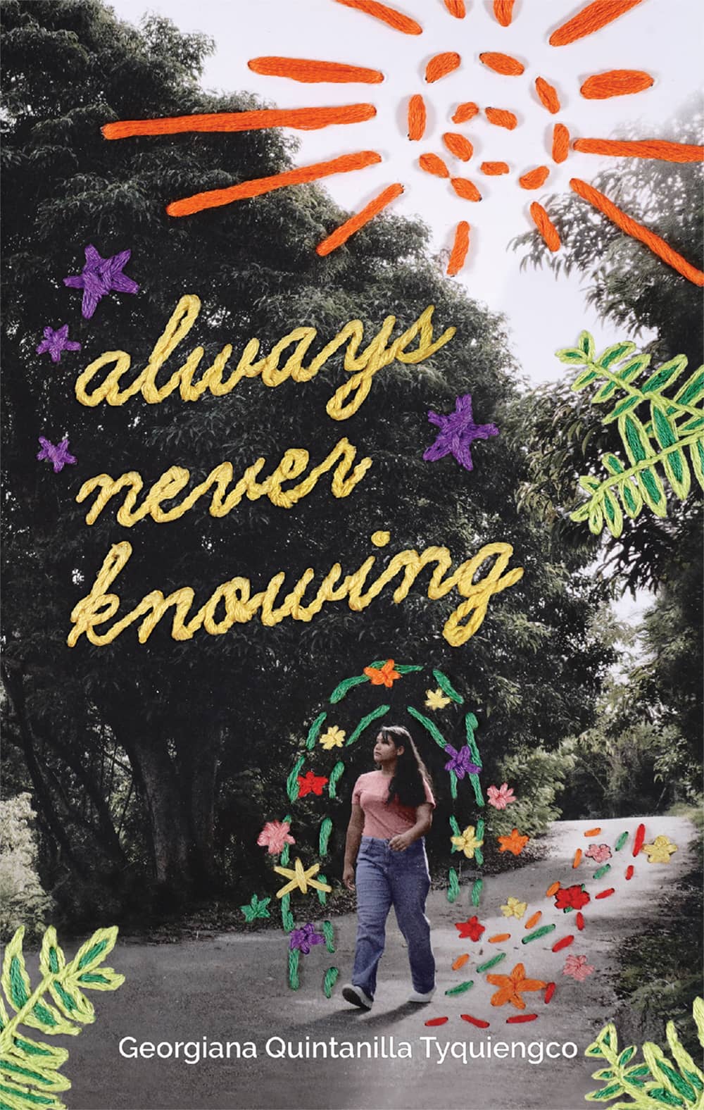 Always Never Knowing book cover
