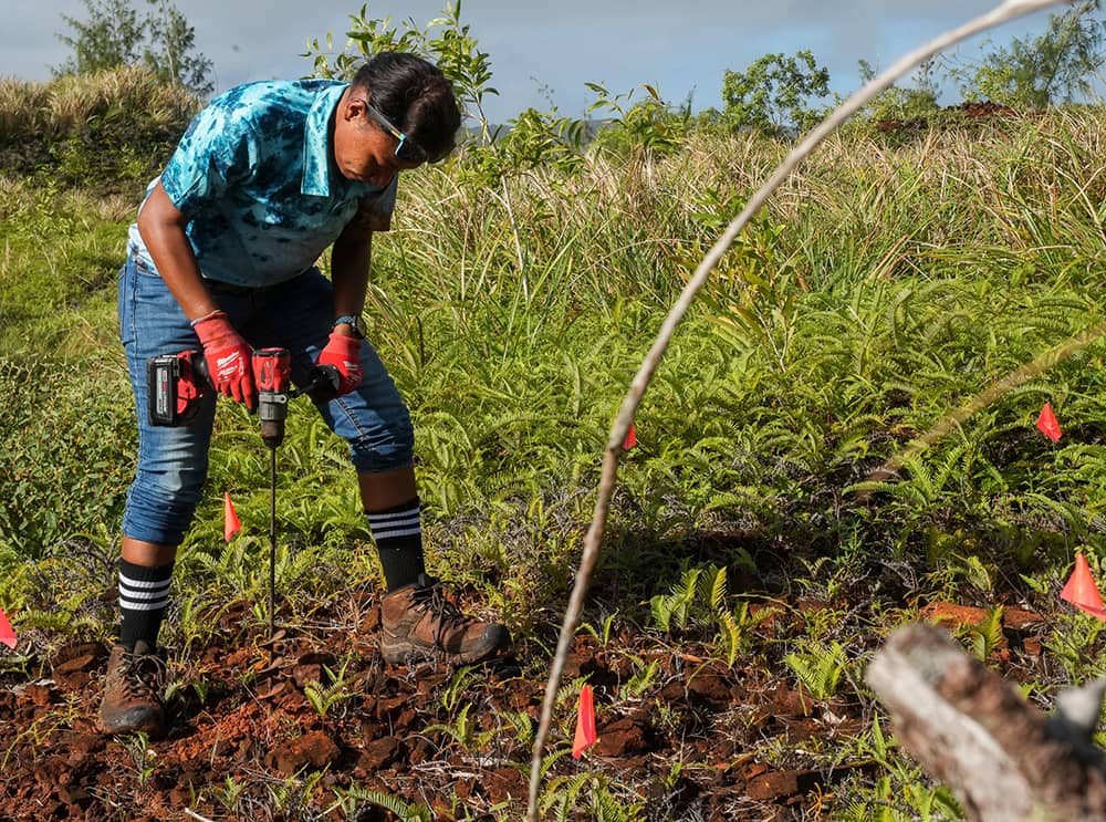 Worker preparing for tree planting