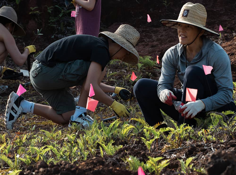 Volunteers planting trees