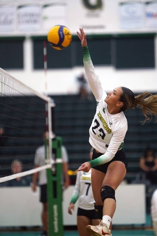 Lady Triton jumps for a spike.