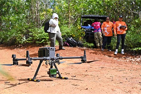 The collaborative effort will produce high-resolution maps that document reforestation progress.