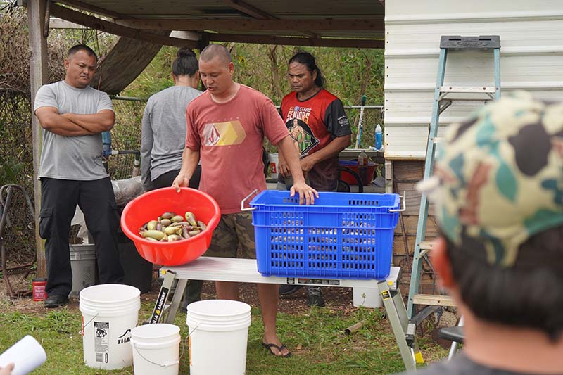A man holding a bucket filled with eggplant