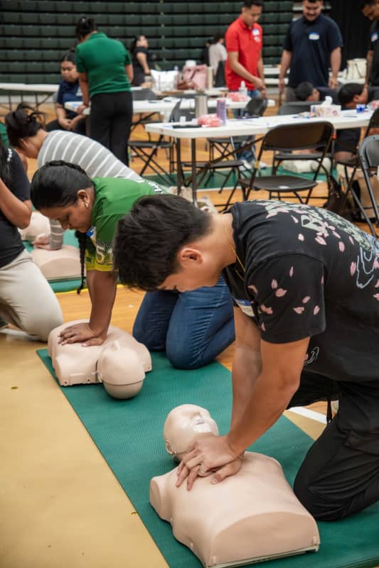 high-quality compressions 