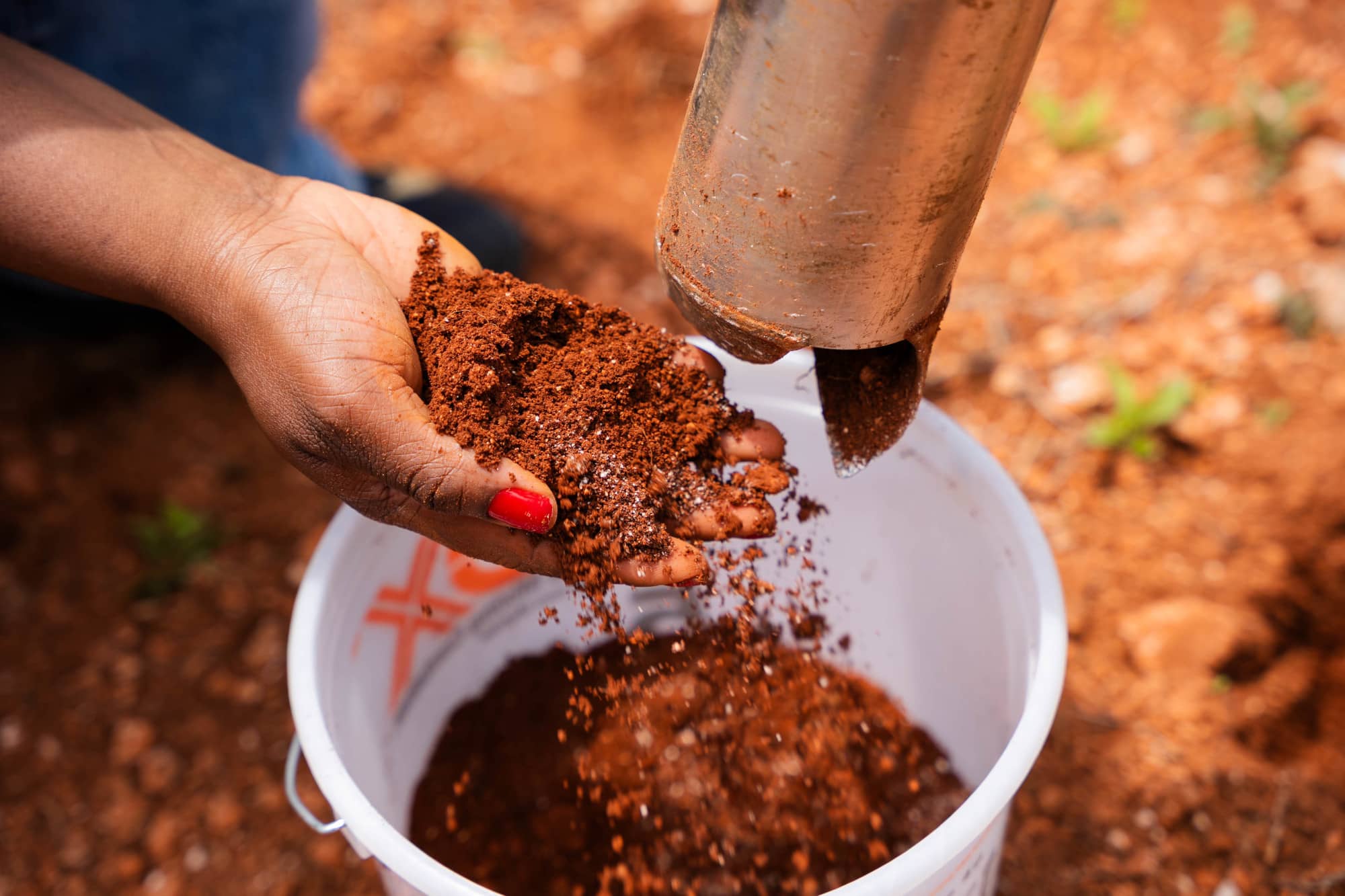 uog land grant soil sampling 2