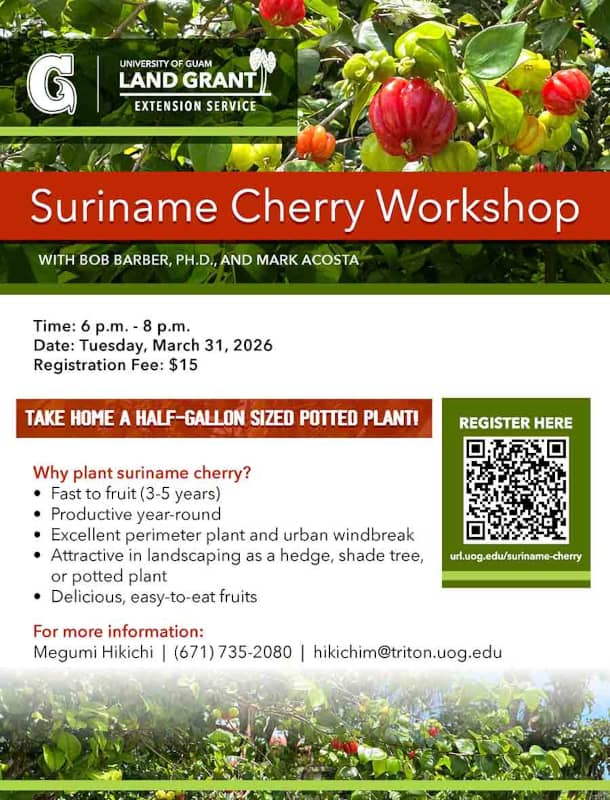 Cherry Workshop Flyer