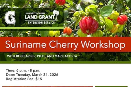 UOG workshop teaches how to grow and care for Suriname cherry trees in Guam.