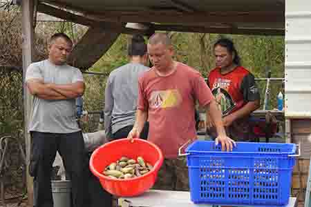 Guam farmer Glenn Takai explains to other farmers how he tracks yield data in his farm records.