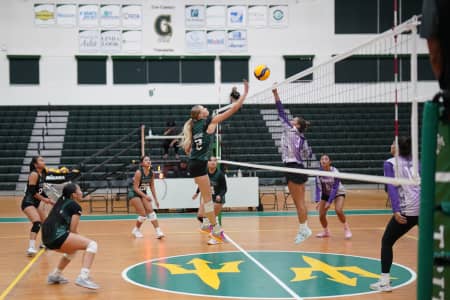 Lady Tritons Fall To Rogues