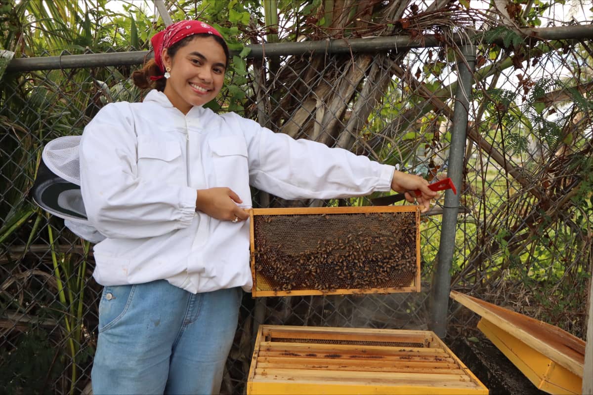 Beehive