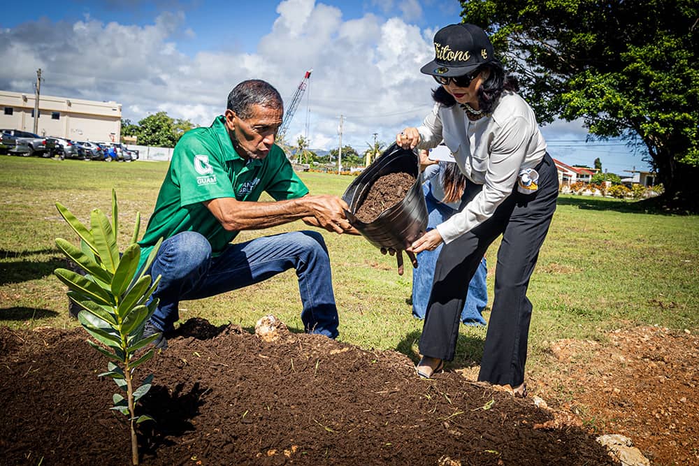 Tree planting event