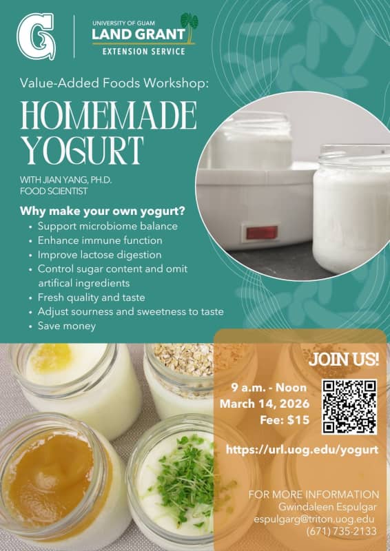 Yogurt Flyer