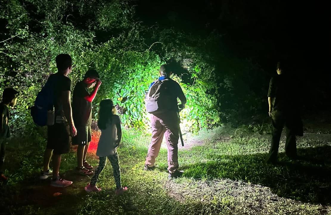 Night hunt for snakes