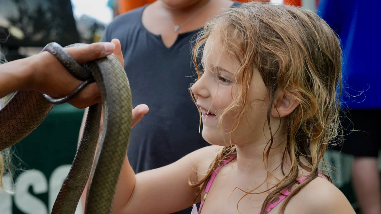 Little girl touching a brown tree snake