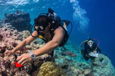 The University of Guam’s Cooperative Ecosystem Studies Unit (CESU) drives collaborative conservation across island and ocean ecosystems, supporting coral reef monitoring, native plant restoration, endangered species protection, and marine archaeology. Since 2010, UOG CESU has joined a national network of more than 300 partners dedicated to preserving natural and cultural resources.